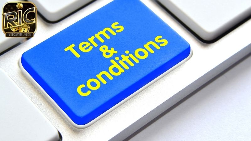 Điều Khoản Điều Kiện Ricwin: Sử Dụng Dịch Vụ Chi Tiết điều khoản điều kiện ricwin